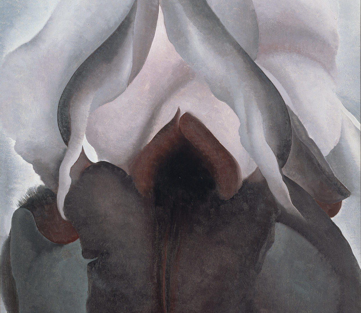 1926 oil painting by Georgia O'Keefe: an extreme close up of the flower with white petals at the top and black-purple flowers at the bottom; the centre of the flower looks like a deep black hole.