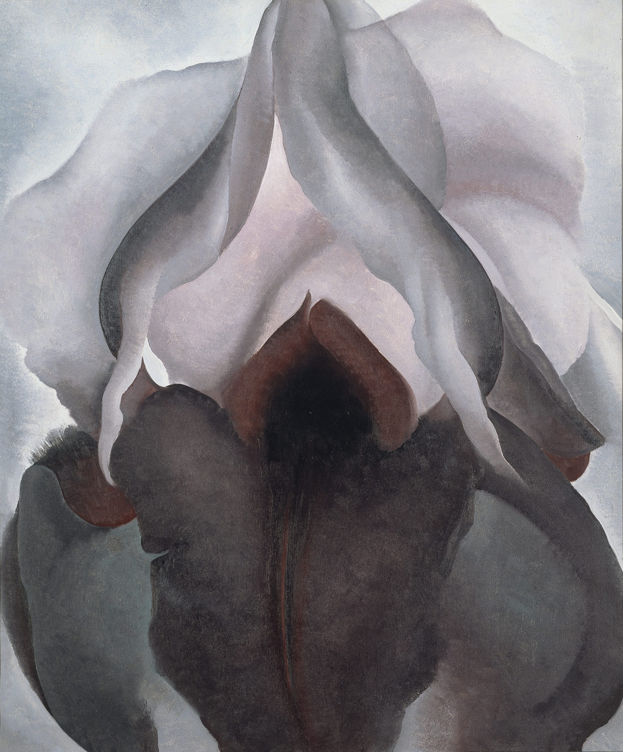 1926 oil painting by Georgia O'Keefe: an extreme close up of the flower with white petals at the top and black-purple flowers at the bottom; the centre of the flower looks like a deep black hole.
